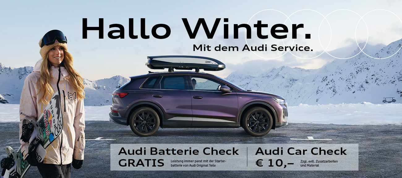 Hallo Winter Audi Service